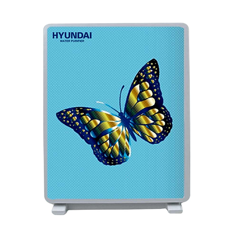 Hyundai Hw100 Up 1